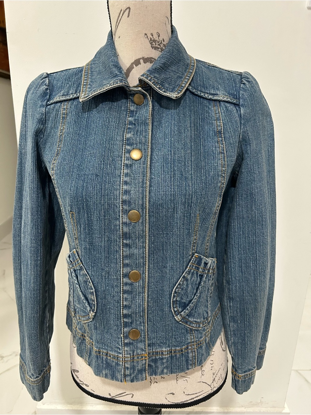Ann Taylor Blue Denim Button-Front Jacket